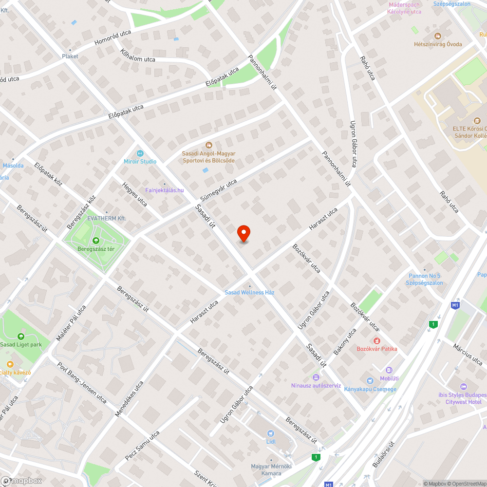 Egy rendszam nelkuli auto all a Sasadi uton bejelentés helye