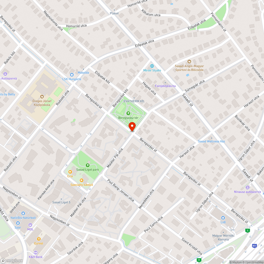 Játszótér mellett hiányzó zebrák bejelentés helye