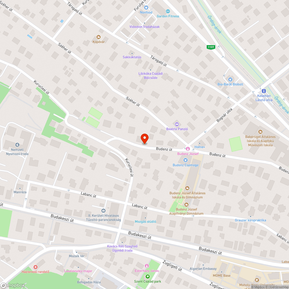 Letarolt parkolásgátlók a Budenz úton bejelentés helye