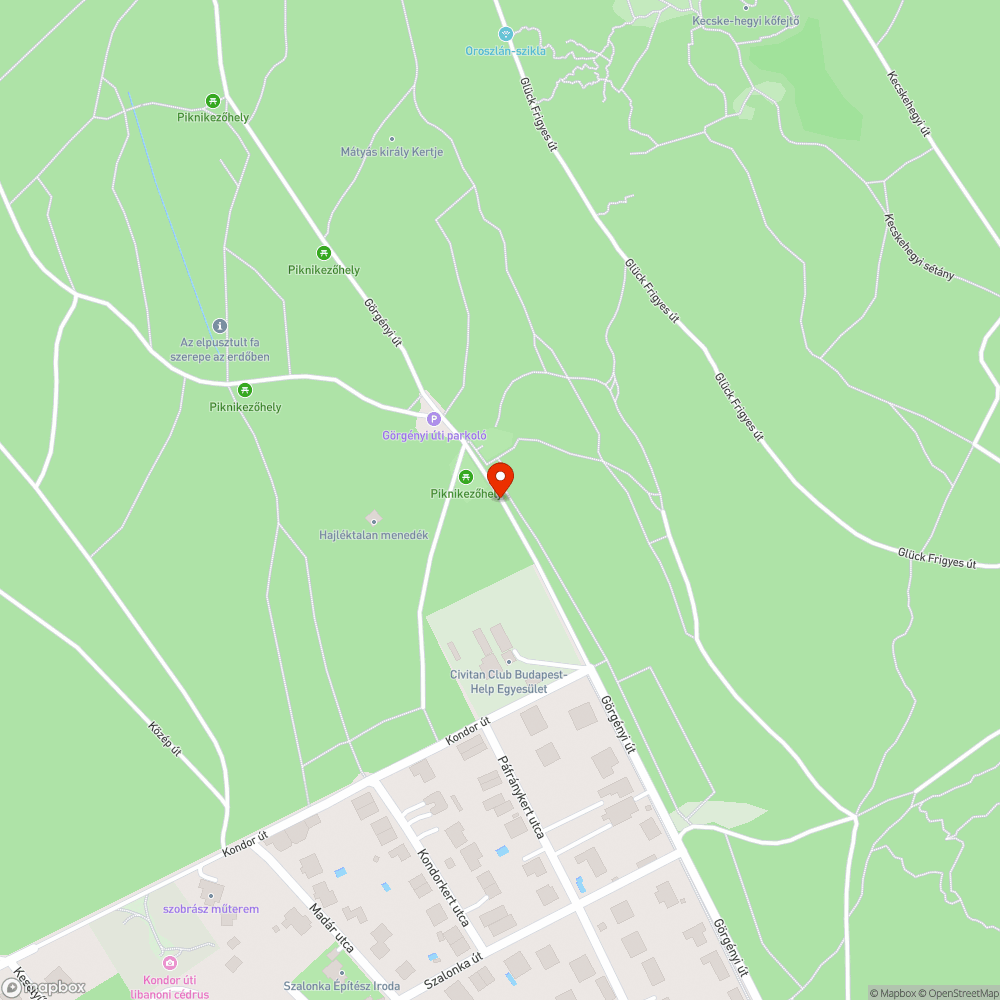 elpusztult macska tetem bejelentés helye