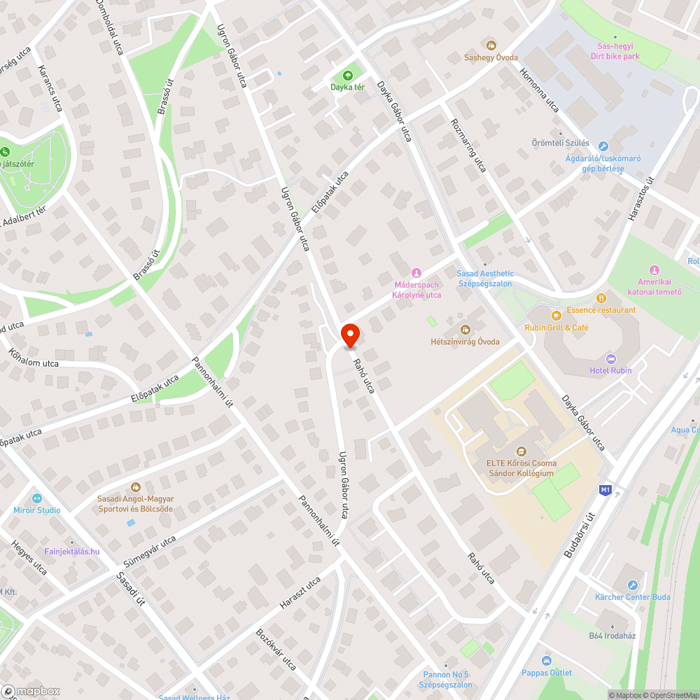 Járda borzasztó állapota Rahó - Ugron - Maderspach Károlyné bejelentés helye