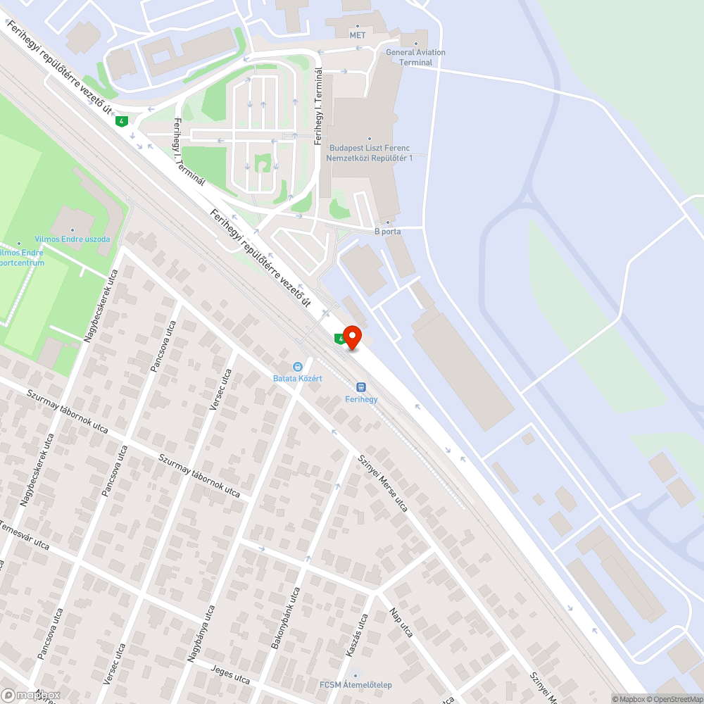 Levágott száraz ágak a zöldterületen bejelentés helye