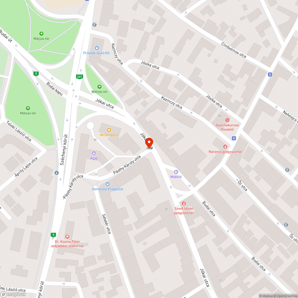 Olajfolt a Jókai utcán bejelentés helye