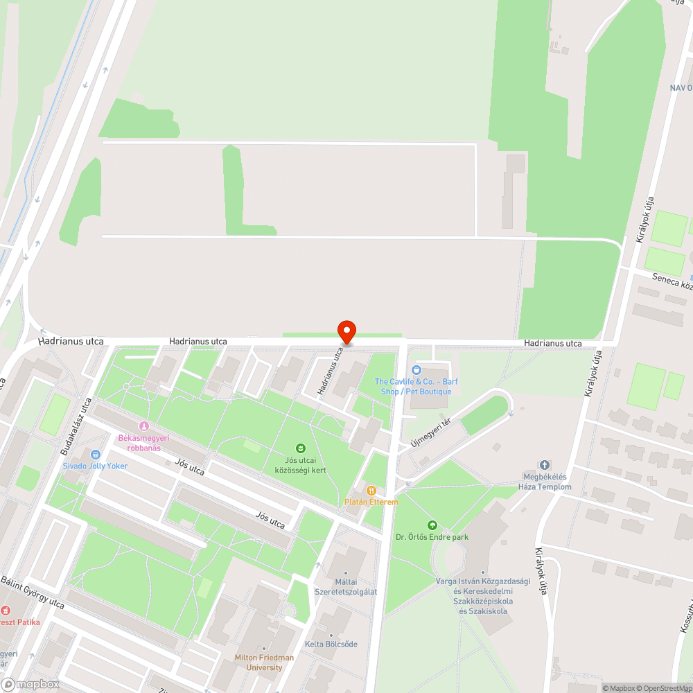 Gumiabroncs a fán bejelentés helye