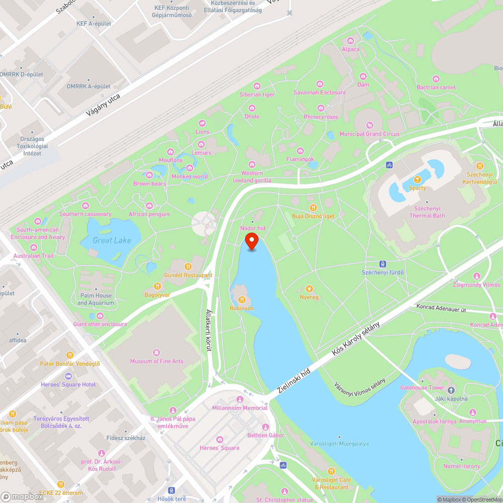 Városligeti tó halpusztulás bejelentés helye