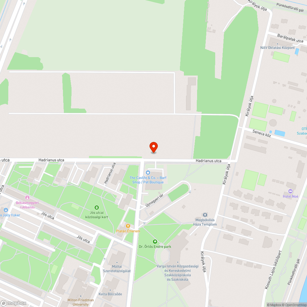 Patkányok bejelentés helye