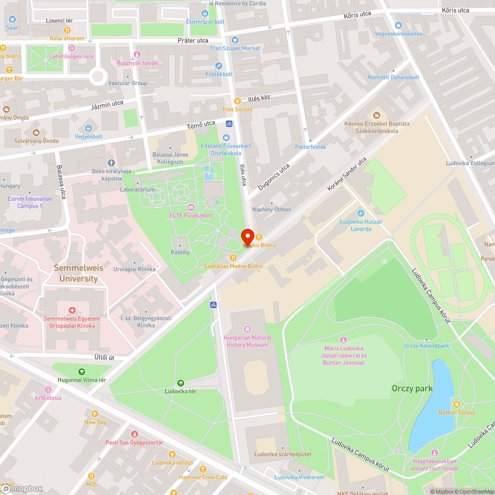 Lekopott gyalogátkelő bejelentés helye