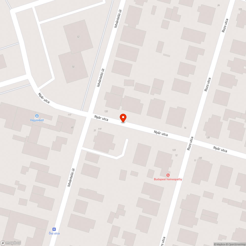 Elhagyott autó bejelentés helye