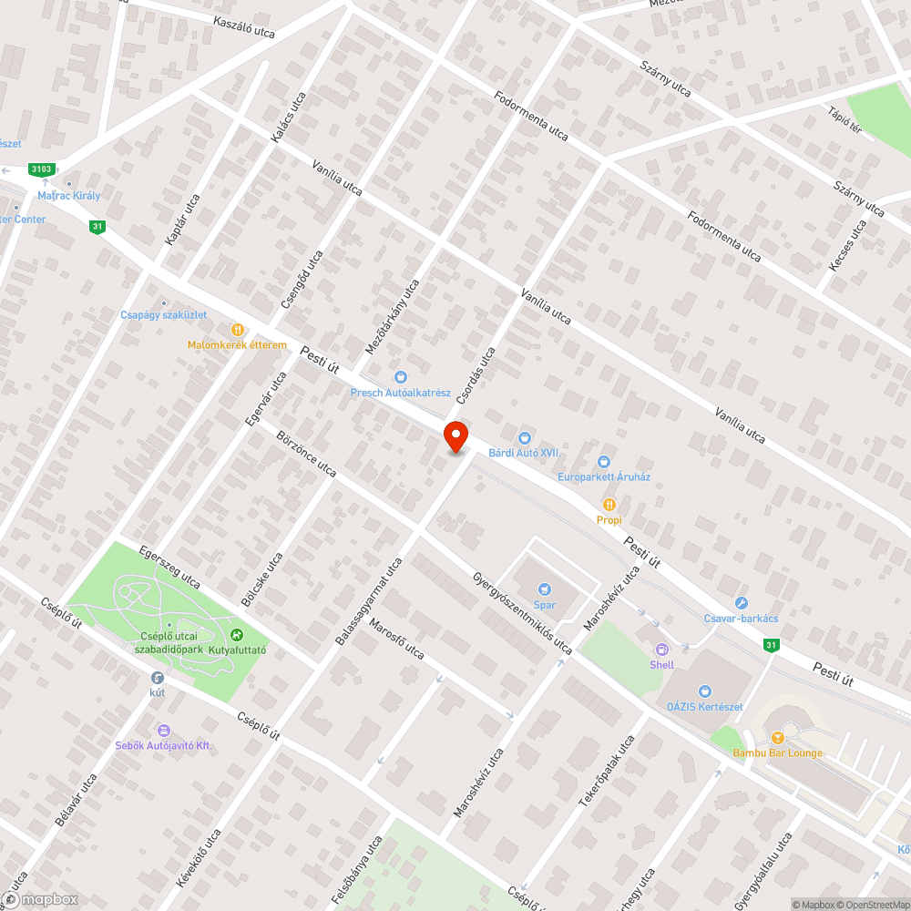 Szemetes, elhanyagolt utcasarok bejelentés helye