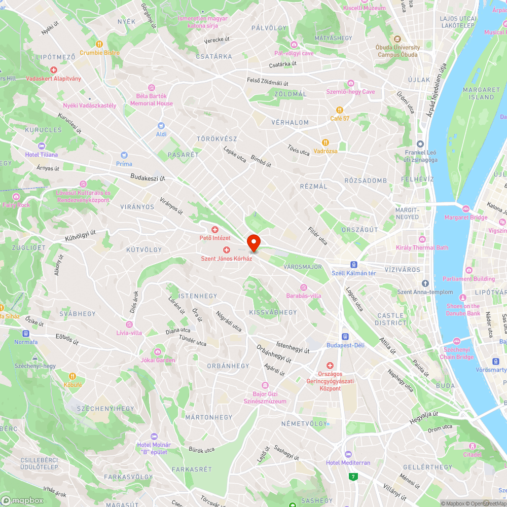 Kidőlt fa romja (XII.) bejelentés helye