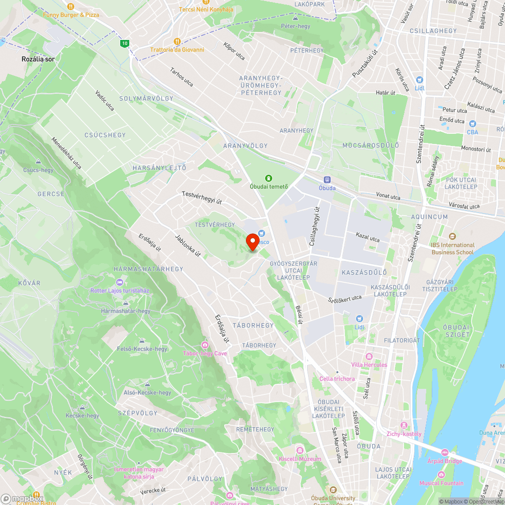 Elhagyott autó renszámmal bejelentés helye