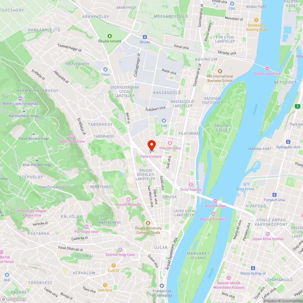 Kátyúkráter bejelentés helye