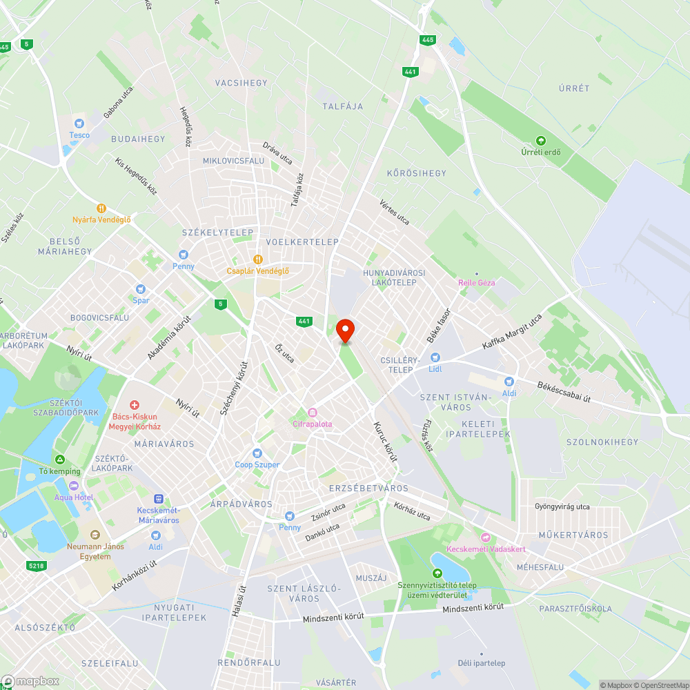Kiszáradt fa a vasútkertben bejelentés helye