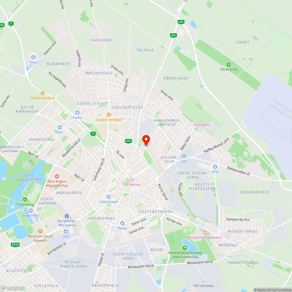 Szeméttel, zöldhulladékkal teli terület a Vasútállomás mellett bejelentés helye