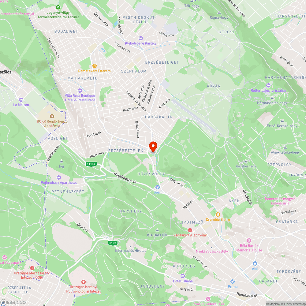 "Akadálymentes" parkoló bejelentés helye