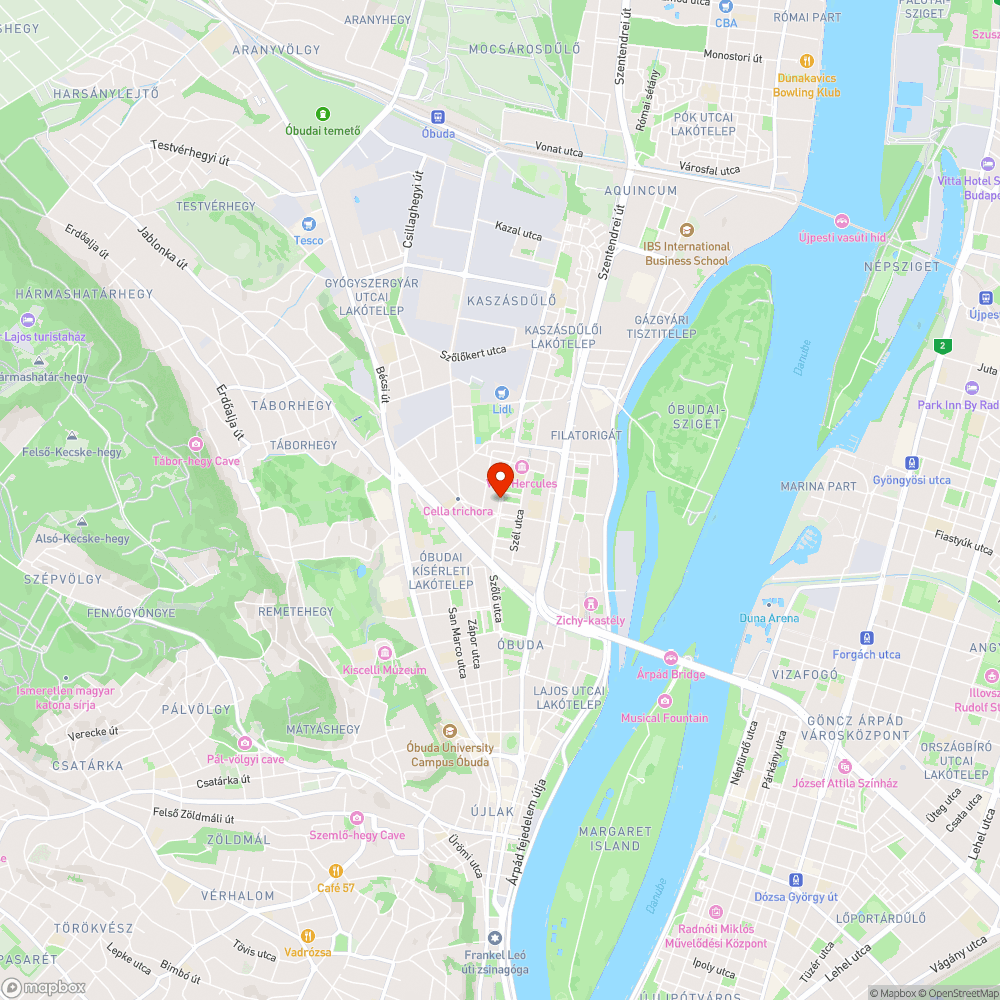 Korhadt és veszélyes fák bejelentés helye