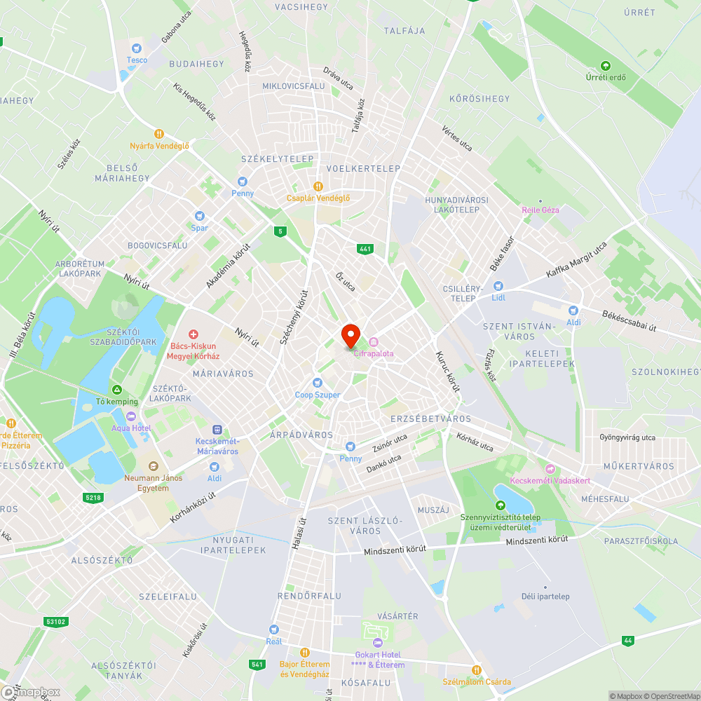 Burkolathibás oszlopok az Emléktár-téren bejelentés helye
