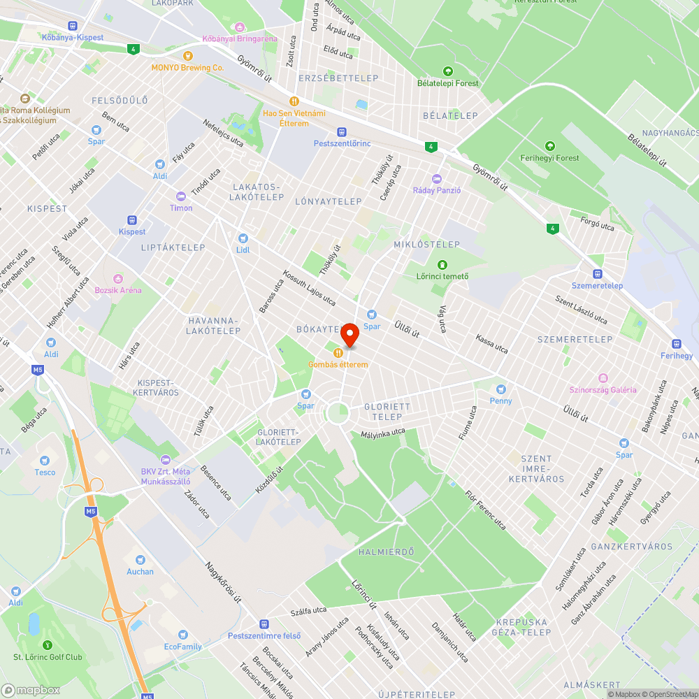 Szemétlerakás a Bányapark utcánál bejelentés helye